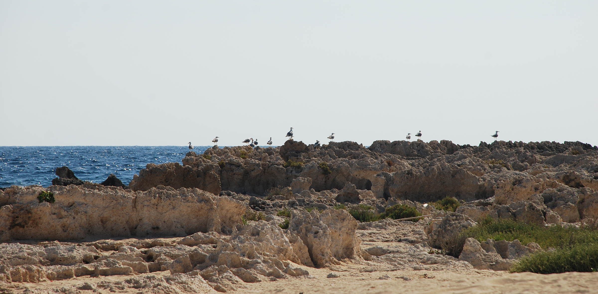 Lebanon Biodiversity